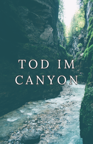 Tod_im_Canyon_Plakat